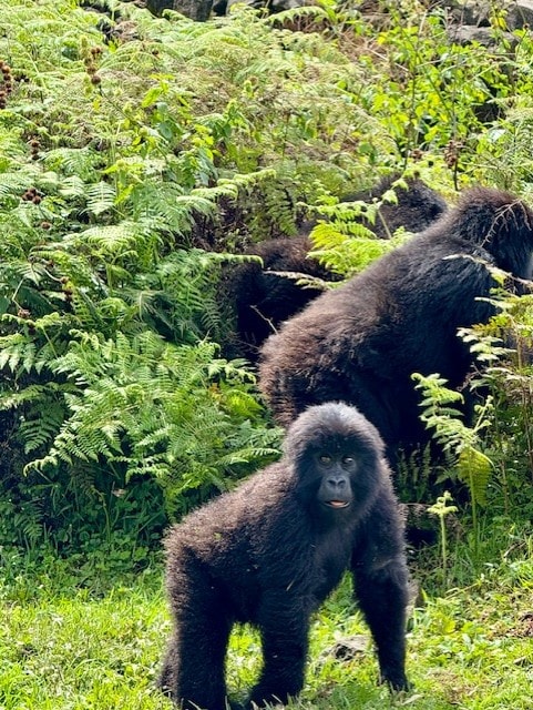 1. thumbnail_IMG_0996