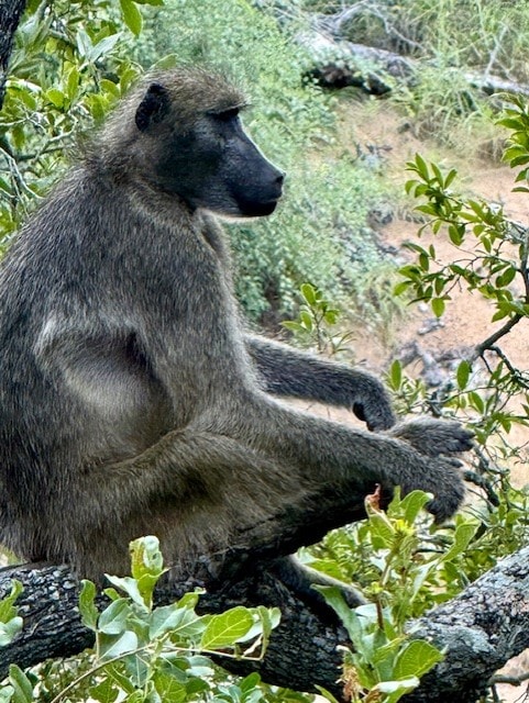 4. thumbnail_IMG_2013