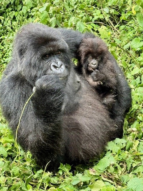 5. thumbnail_IMG_1126