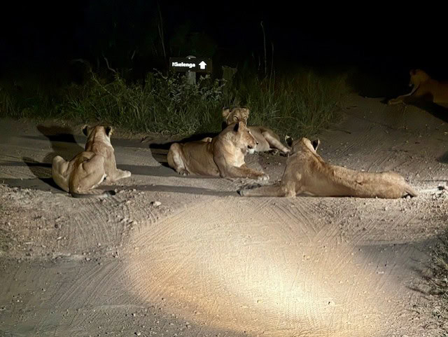 5. thumbnail_IMG_1509