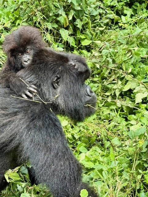 6. thumbnail_IMG_1132