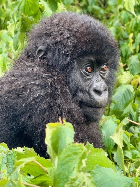 7. thumbnail_IMG_0891