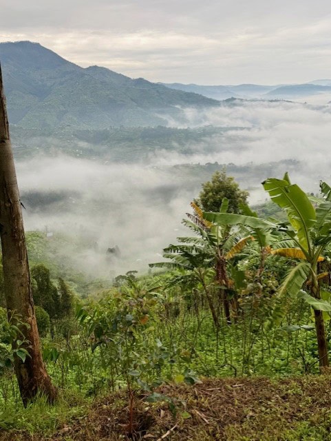 9. thumbnail_IMG_1219