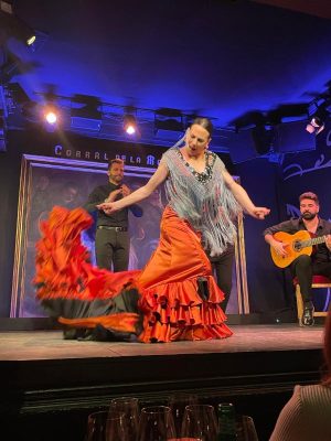 Flamenco Show at Corral de la Morería